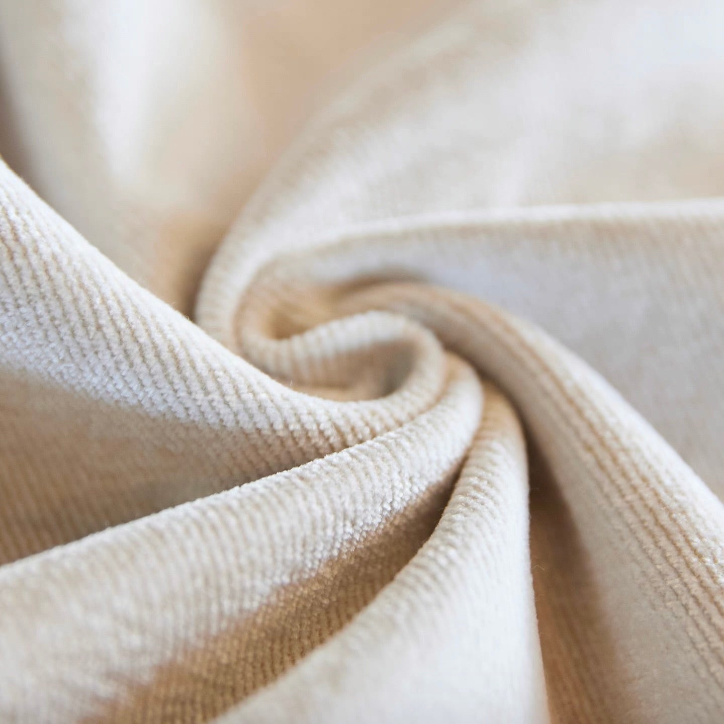 裏起毛 ホワイト ストレートパンツ（1Color）251011