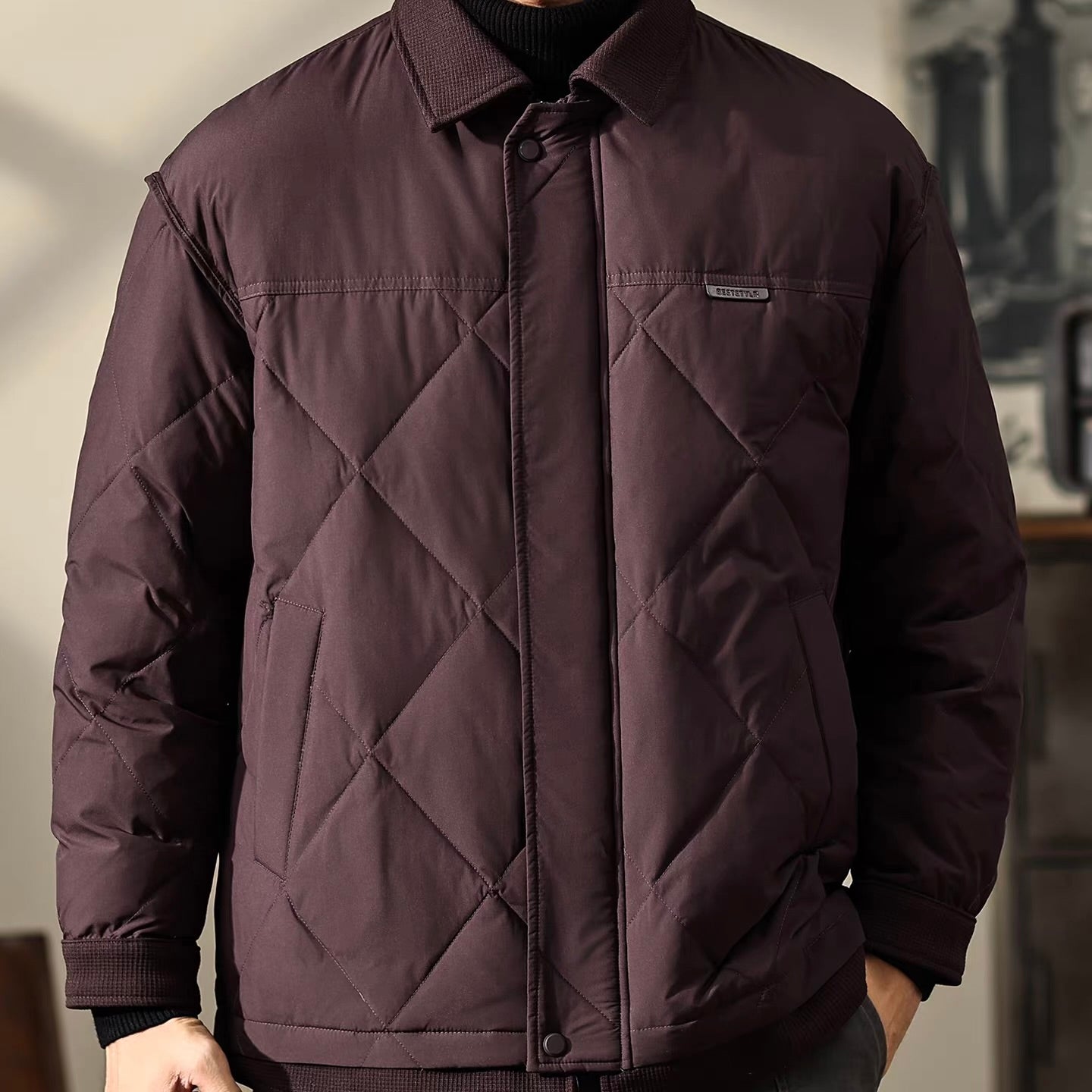 軽量 襟付き ダウンジャケット（2Colors）251087