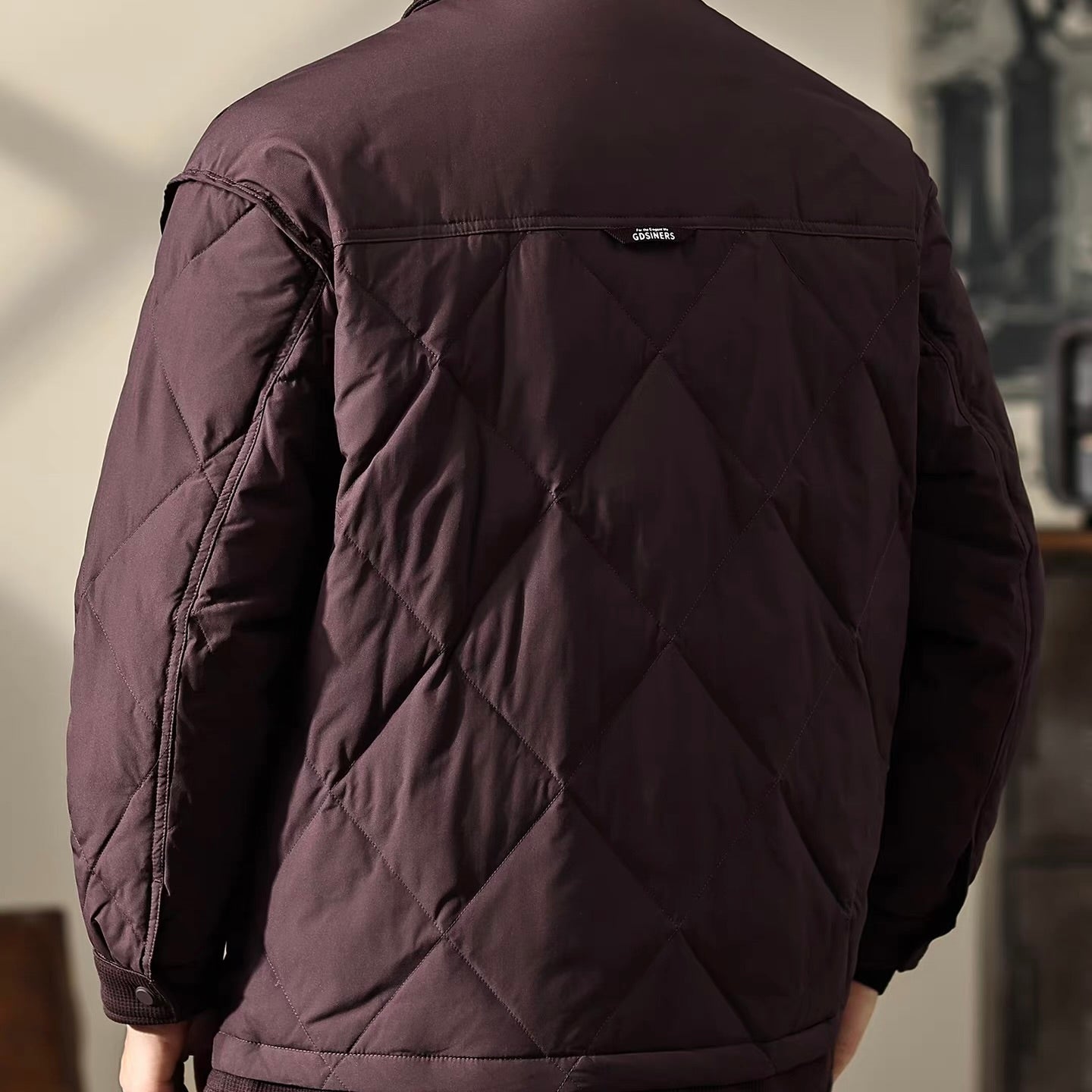 軽量 襟付き ダウンジャケット（2Colors）251087